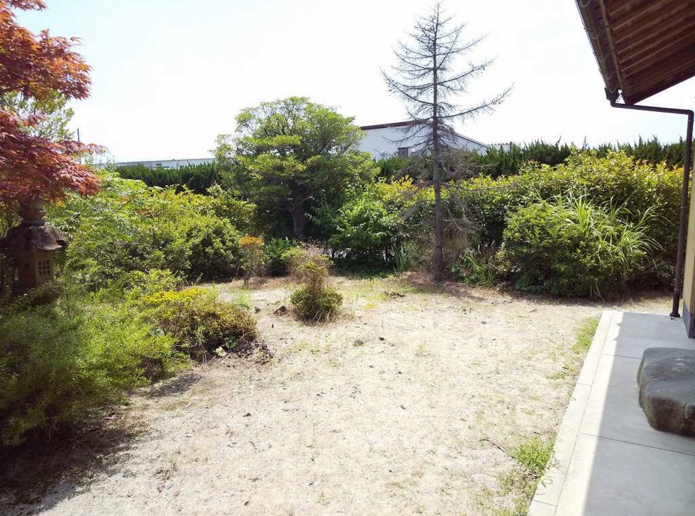 出雲市で庭じまい　庭委撤去前